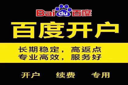 百度竞价推广托管实战案例解析